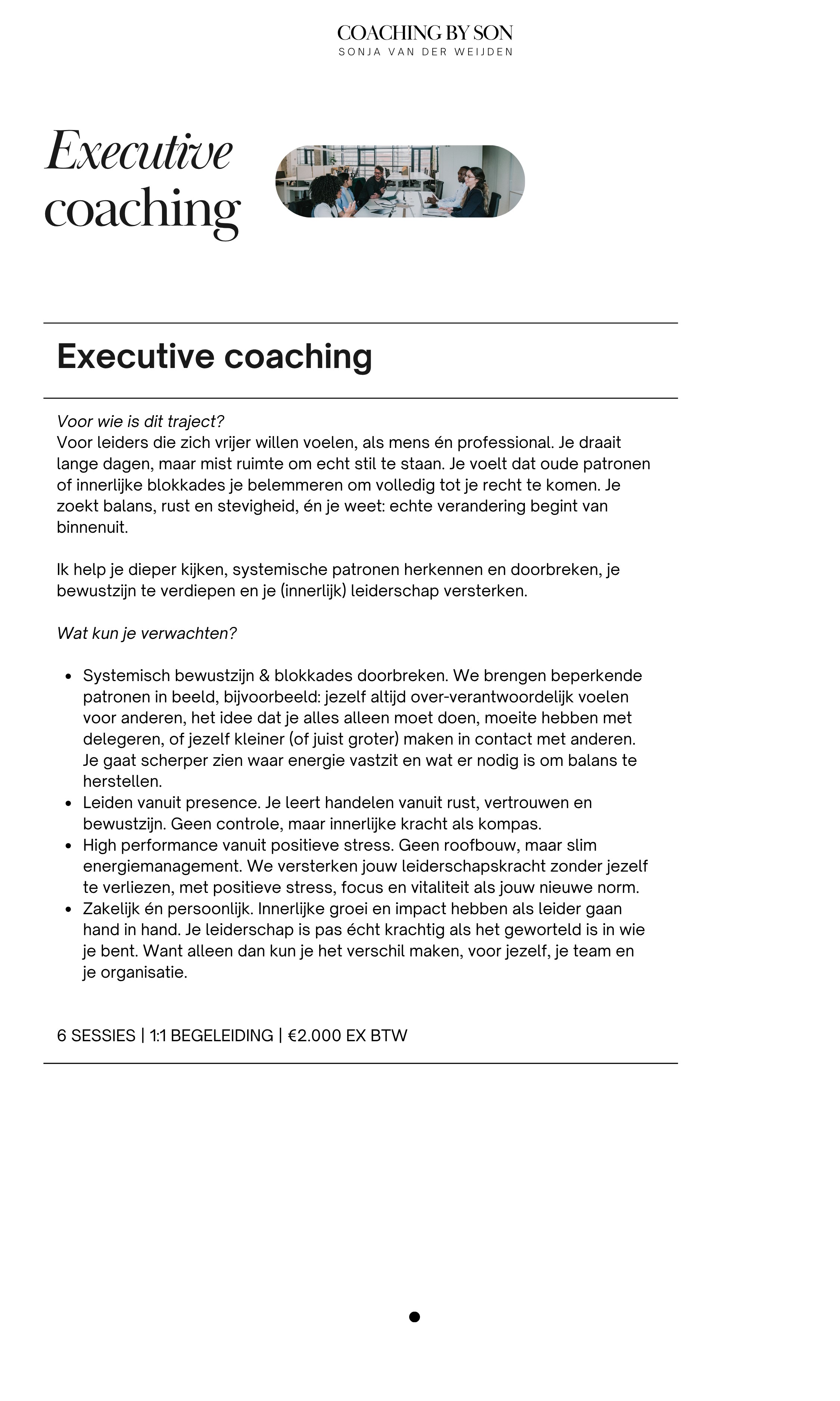 Flyer kompas 2, Executive coaching